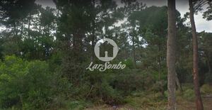 Terreno R�stico - Apulia, Esposende, Braga - Miniatura: 12/27