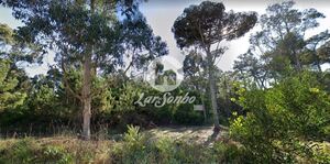 Terreno R�stico - Apulia, Esposende, Braga - Miniatura: 13/27