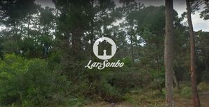 Terreno R�stico - Apulia, Esposende, Braga - Miniatura: 21/27