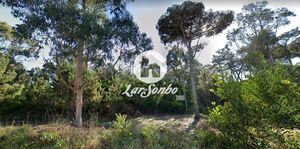 Terreno R�stico - Apulia, Esposende, Braga - Miniatura: 22/27
