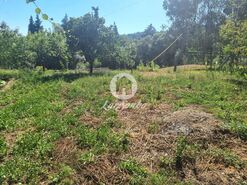 Moradia T3 - Alvito (S�o Martinho), Barcelos, Braga - Miniatura: 9/29