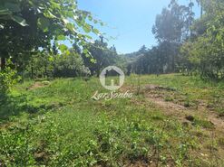 Moradia T3 - Alvito (S�o Martinho), Barcelos, Braga - Miniatura: 10/29