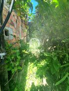 Moradia T3 - Alvito (S�o Martinho), Barcelos, Braga - Miniatura: 11/29