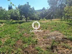 Moradia T3 - Alvito (S�o Martinho), Barcelos, Braga - Miniatura: 21/29