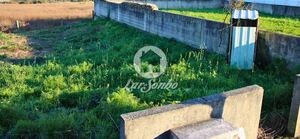 Terreno R�stico - Gilmonde, Barcelos, Braga - Miniatura: 1/19