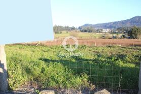 Terreno R�stico - Gilmonde, Barcelos, Braga - Miniatura: 3/19