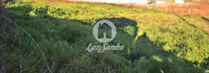 Terreno R�stico - Gilmonde, Barcelos, Braga - Miniatura: 5/19