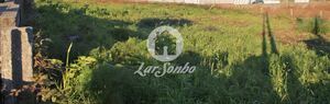 Terreno R�stico - Gilmonde, Barcelos, Braga - Miniatura: 6/19