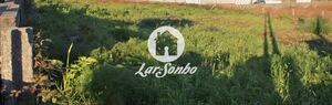 Terreno R�stico - Gilmonde, Barcelos, Braga - Miniatura: 9/19