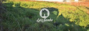 Terreno R�stico - Gilmonde, Barcelos, Braga - Miniatura: 10/19