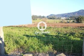 Terreno R�stico - Gilmonde, Barcelos, Braga - Miniatura: 11/19