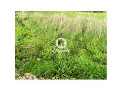 Terreno R�stico - Gilmonde, Barcelos, Braga - Miniatura: 15/19