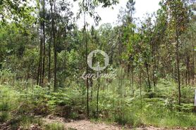 Terreno R�stico - Silveiros e Rio Covo, Barcelos, Braga - Miniatura: 1/6