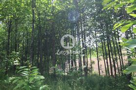 Terreno R�stico - Silveiros e Rio Covo, Barcelos, Braga - Miniatura: 2/6