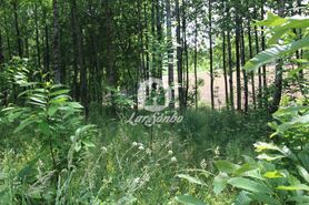 Terreno R�stico - Silveiros e Rio Covo, Barcelos, Braga - Miniatura: 4/6