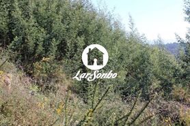 Terreno R�stico - Escariz, Vila Verde, Braga - Miniatura: 4/21
