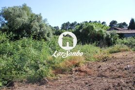 Terreno R�stico - Escariz, Vila Verde, Braga - Miniatura: 11/21
