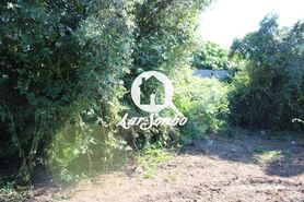 Terreno R�stico - Escariz, Vila Verde, Braga - Miniatura: 13/21