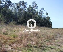 Terreno R�stico - Escariz, Vila Verde, Braga - Miniatura: 14/21