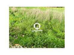 Terreno R�stico - Escariz, Vila Verde, Braga - Miniatura: 20/21