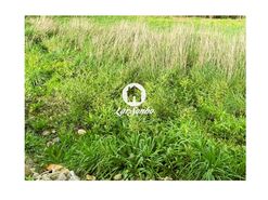 Terreno R�stico - Escariz, Vila Verde, Braga - Miniatura: 21/21