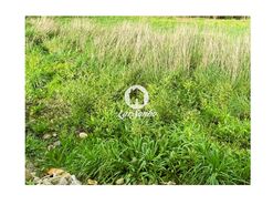 Terreno R�stico - Silveiros e Rio Covo, Barcelos, Braga - Miniatura: 21/24