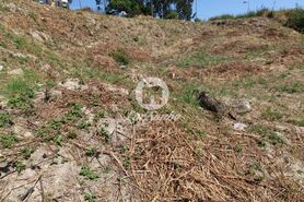 Terreno R�stico - Silveiros e Rio Covo, Barcelos, Braga - Miniatura: 8/21