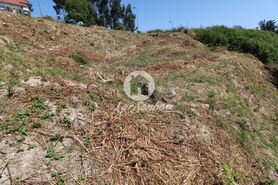 Terreno R�stico - Silveiros e Rio Covo, Barcelos, Braga - Miniatura: 9/21
