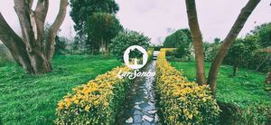 Moradia T4 - Estela, P�voa de Varzim, Porto - Miniatura: 7/30