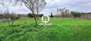 Moradia T4 - Estela, P�voa de Varzim, Porto - Miniatura: 24/30