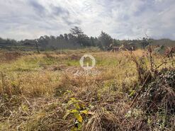 Terreno R�stico - Lama, Barcelos, Braga - Miniatura: 2/22