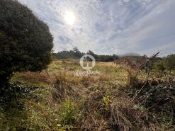 Terreno R�stico - Lama, Barcelos, Braga - Miniatura: 3/22