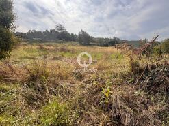 Terreno R�stico - Lama, Barcelos, Braga - Miniatura: 4/22
