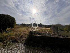 Terreno R�stico - Lama, Barcelos, Braga - Miniatura: 6/22