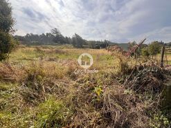 Terreno R�stico - Lama, Barcelos, Braga - Miniatura: 8/22