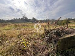 Terreno R�stico - Lama, Barcelos, Braga - Miniatura: 9/22