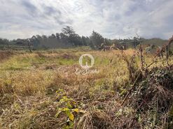 Terreno R�stico - Lama, Barcelos, Braga - Miniatura: 12/22