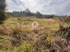 Terreno R�stico - Lama, Barcelos, Braga - Miniatura: 13/22