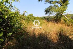 Terreno Rstico - Galegos (So Martinho), Barcelos, Braga - Miniatura: 3/26