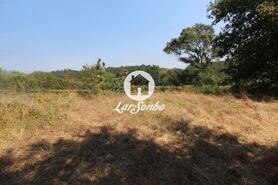 Terreno Rstico - Galegos (So Martinho), Barcelos, Braga - Miniatura: 5/26