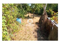 Terreno Rstico - Galegos (So Martinho), Barcelos, Braga - Miniatura: 7/26