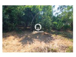 Terreno Rstico - Galegos (So Martinho), Barcelos, Braga - Miniatura: 8/26