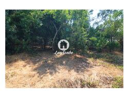 Terreno Rstico - Galegos (So Martinho), Barcelos, Braga - Miniatura: 9/26