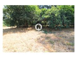 Terreno Rstico - Galegos (So Martinho), Barcelos, Braga - Miniatura: 10/26