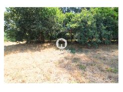 Terreno Rstico - Galegos (So Martinho), Barcelos, Braga - Miniatura: 11/26