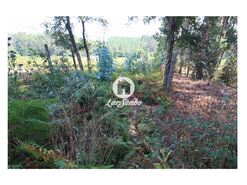 Terreno Rstico - Galegos (So Martinho), Barcelos, Braga - Miniatura: 12/26