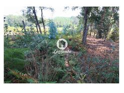 Terreno Rstico - Galegos (So Martinho), Barcelos, Braga - Miniatura: 13/26