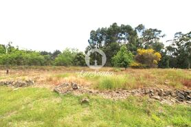 Moradia T3 - Tamel (Santa Leoc�dia), Barcelos, Braga - Miniatura: 16/23