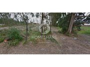 Terreno Rstico - Ponte de Vagos, Vagos, Aveiro - Miniatura: 1/1