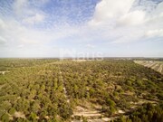 Terreno Rstico - Peges, Montijo, Setbal - Miniatura: 2/2